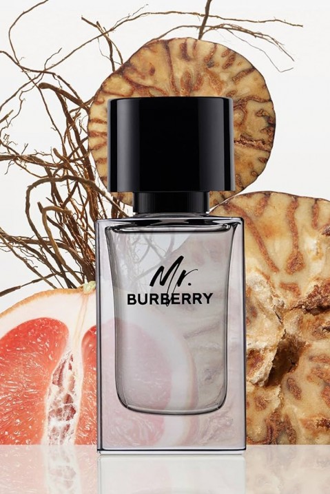 Парфюм Burberry Mr. Burberry EDT 50 mlIVET.BG - Твоят онлайн бутик.