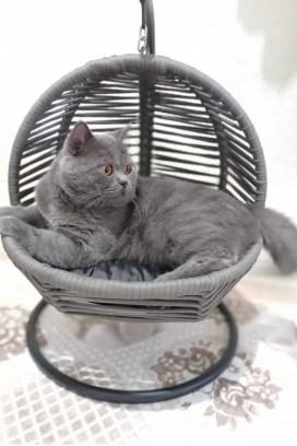 люлка за котки FROSHI GREY